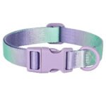 Colorful Print Nylon Dog Collar