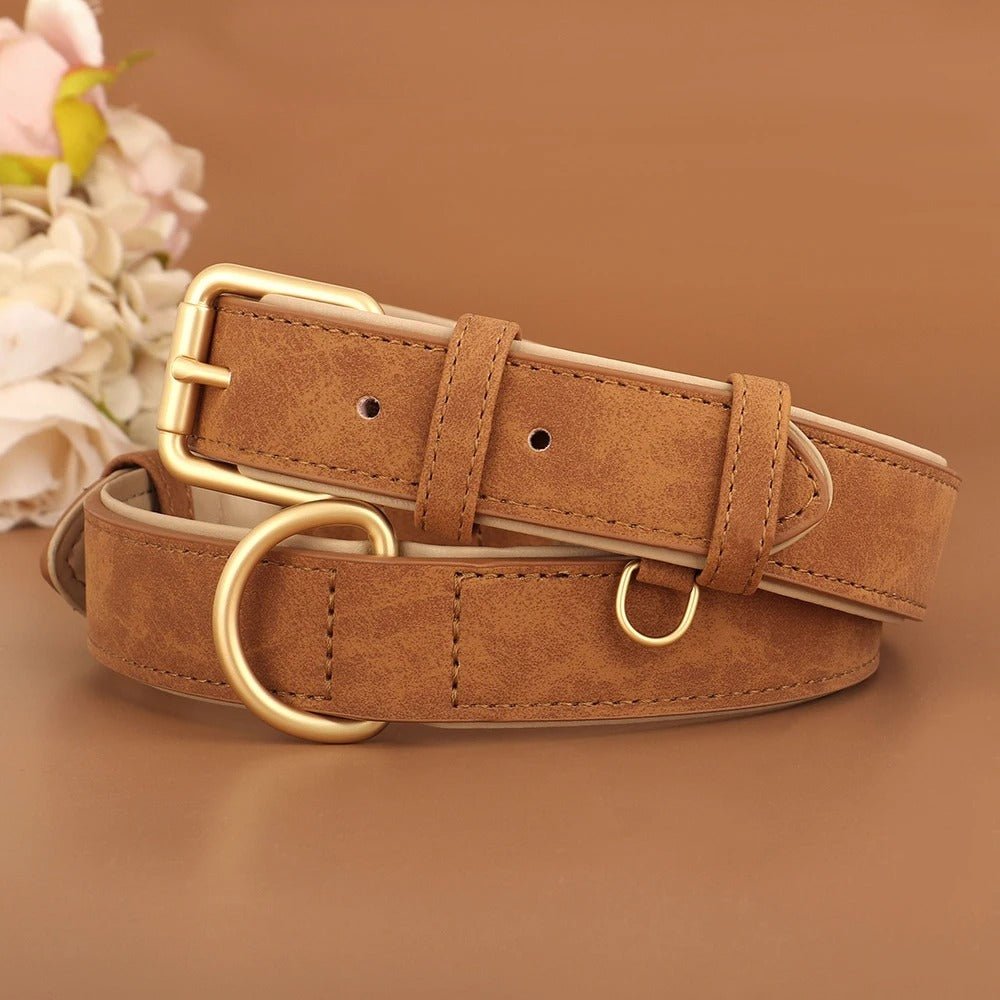 Soft Leather Padded Dog Collar Adjustable and Durable for Small and Medium Dogs - Image 2