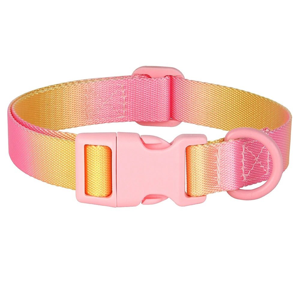 Colorful Print Nylon Dog Collar - Image 2
